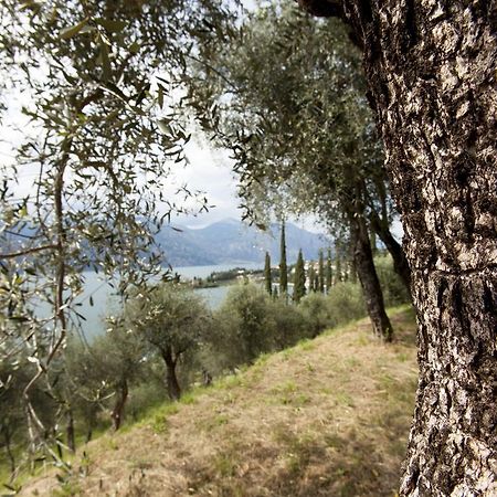 Residence Le Balze Malcesine Exterior photo